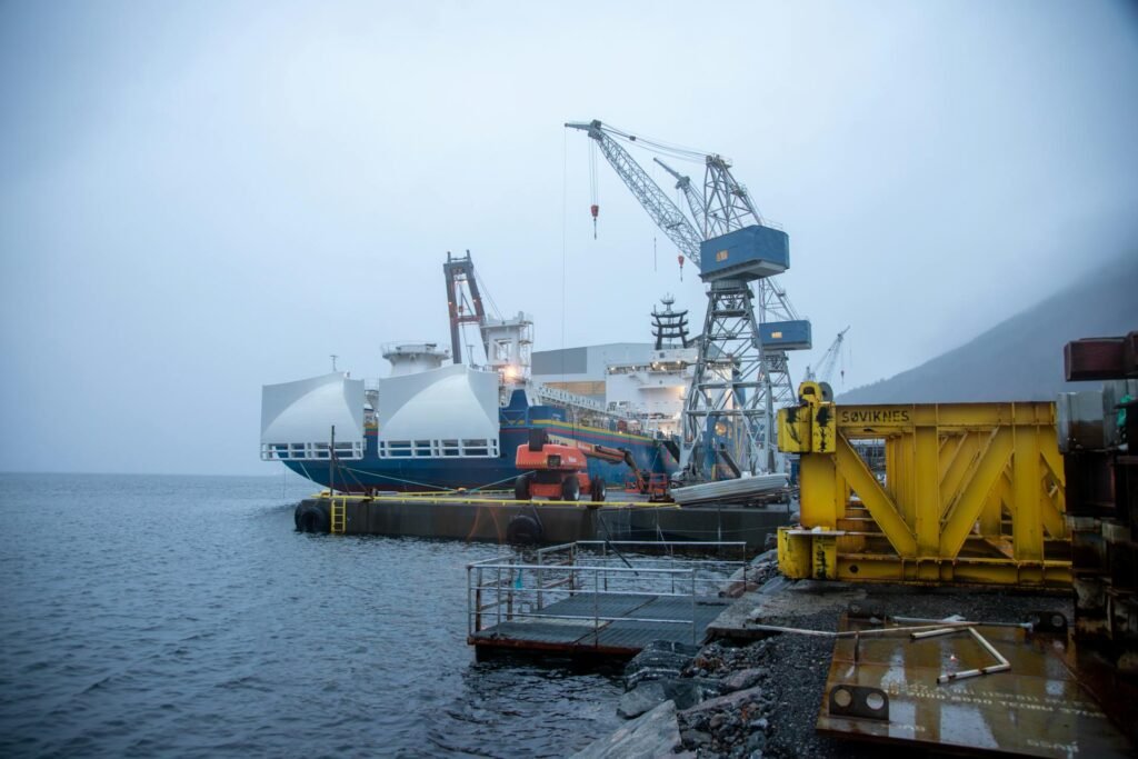 pexels fauske 35206553